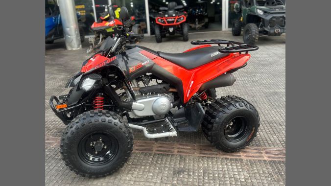 02 DS 250