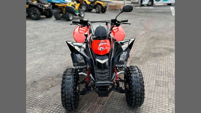 05 DS 250