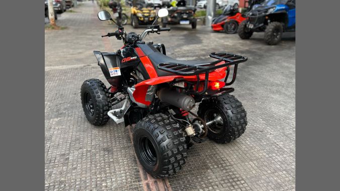 07 DS 250