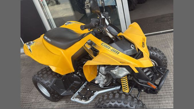 04 DS 250