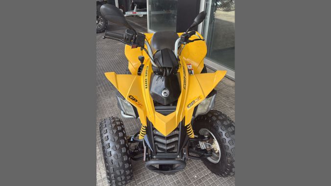 05 DS 250