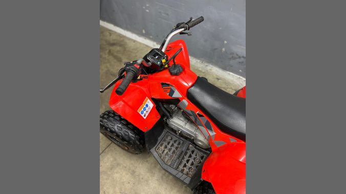 04 Can Am DS 90 2019