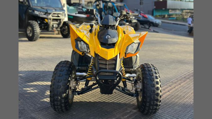 03 Can Am DS 250 2013