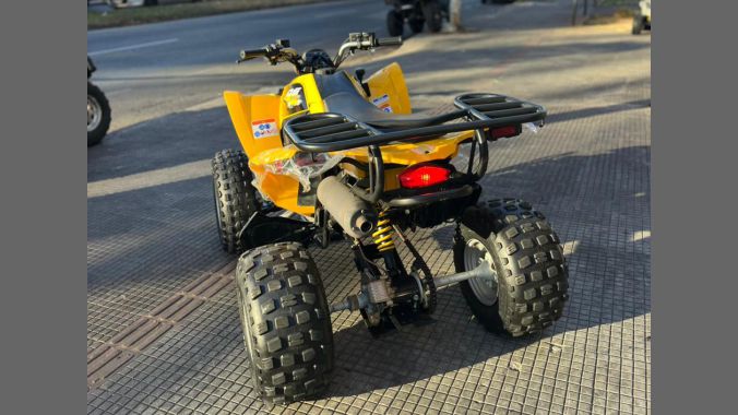 04 Can Am DS 250 2013